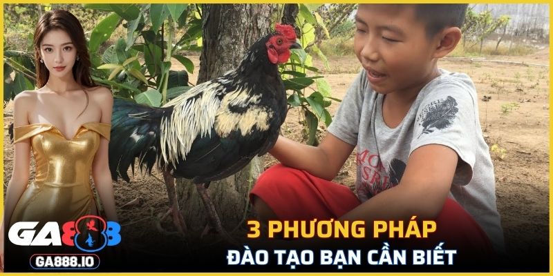 3 phương pháp đào tạo cần biết