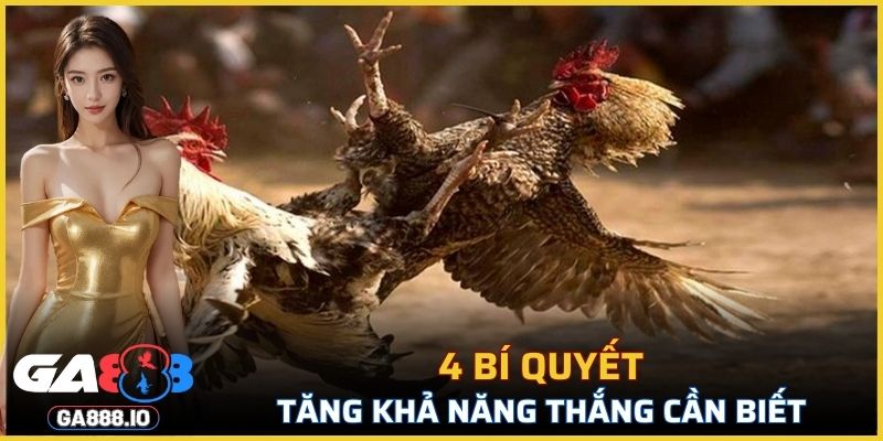 4 bí quyết tăng khả năng thắng cần biết