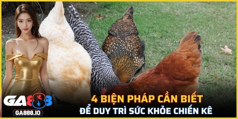 4 biện pháp cần biết để duy trì sức khỏe chiến kê
