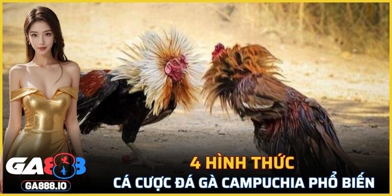 4 hình thức cá cược đá gà Campuchia phổ biến