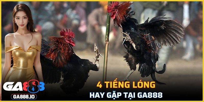 4 tiếng lóng hay gặp tại GA888