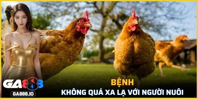 Bệnh không quá xa lạ với người nuôi
