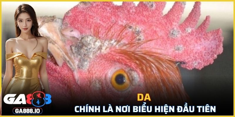 Da chính là nơi biểu hiện đầu tiên
