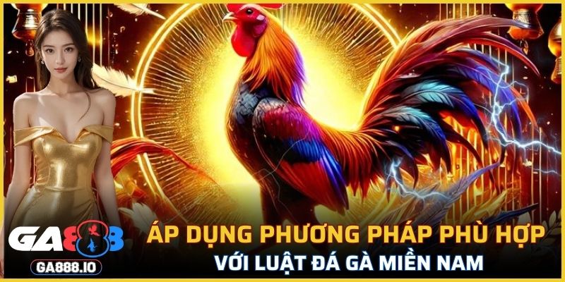 Áp dụng phương pháp phù hợp với luật đá gà miền Nam