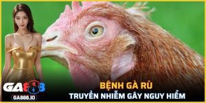 Bệnh Gà Rù