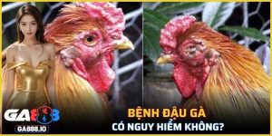 Bệnh Đậu Gà