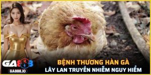 Bệnh Thương Hàn Gà