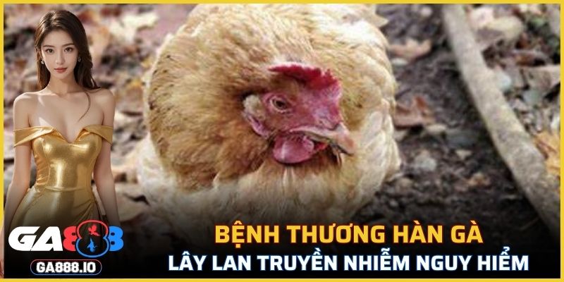 Bệnh Thương Hàn Gà