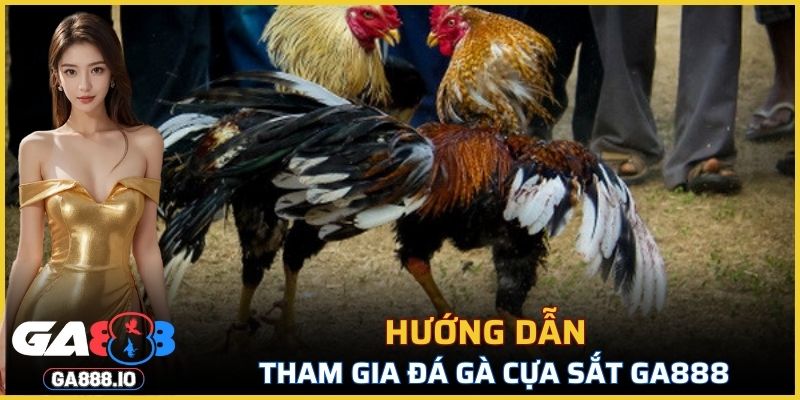 Các bước tham gia đá gà cựa sắt GA888 đơn giản