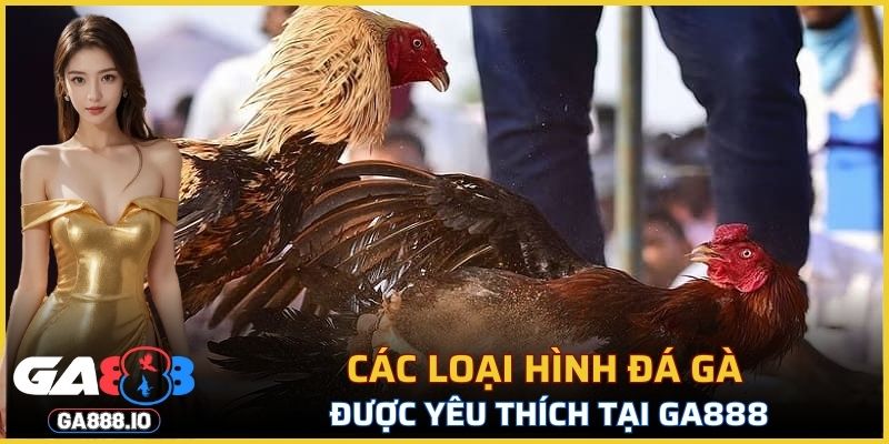 Các loại hình đá gà được yêu thích tại GA888