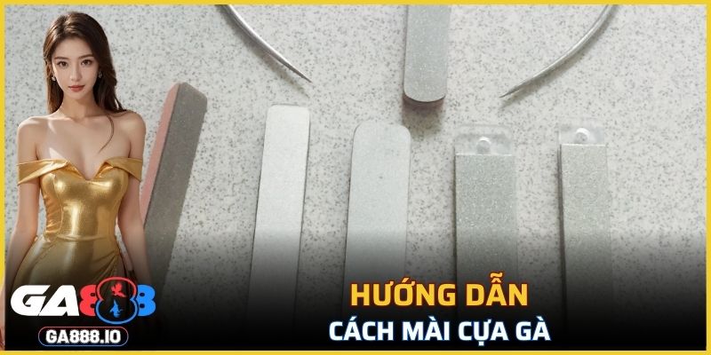 Cách mài cựa gà chuẩn