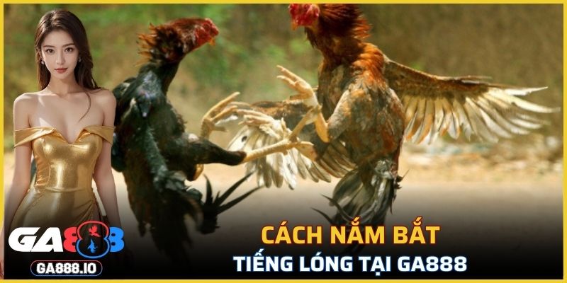 Cách nắm bắt tiếng lóng tại GA888