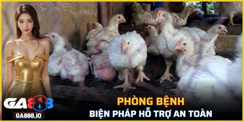 Cách thức hỗ trợ phòng