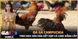 Đá Gà Campuchia