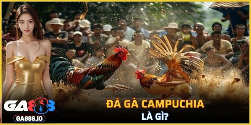 Đá gà Campuchia là gì?