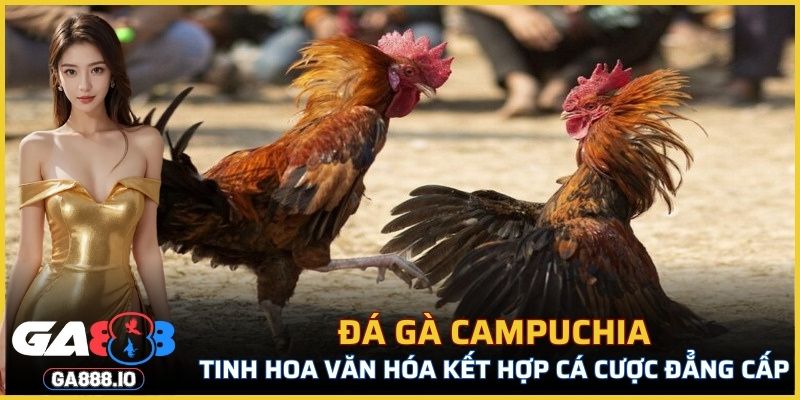 Đá Gà Campuchia