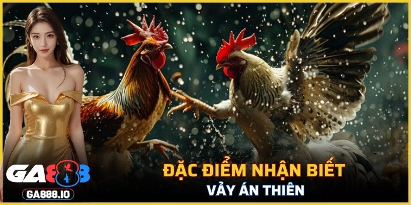 Dấu hiệu nhận diện vảy Án Thiên