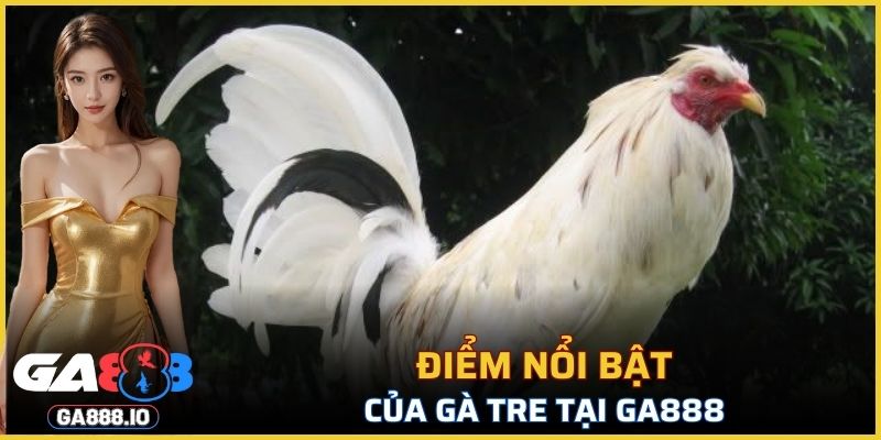 Điểm nổi bật của Gà Tre