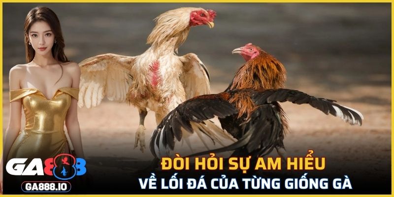 Đòi hỏi sự am hiểu về lối đá của từng giống gà