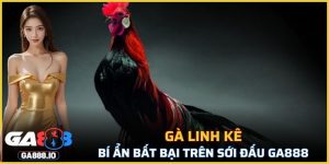 Gà Linh Kê