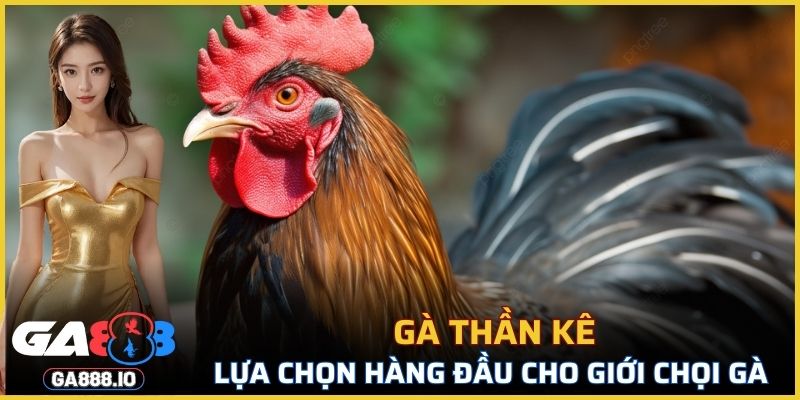 Gà Thần Kê