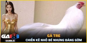 Gà Tre