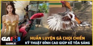 Huấn Luyện Gà Chọi Chiến