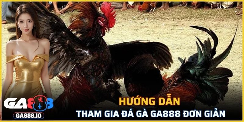 Hướng dẫn tham gia đá gà GA888 đơn giản