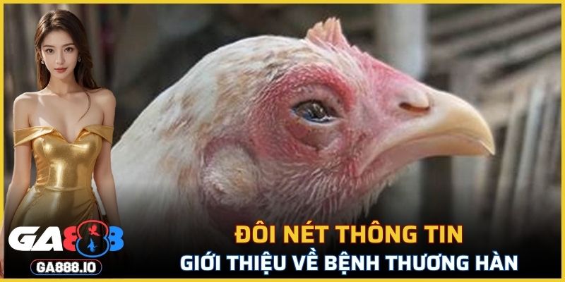 Bệnh Thương Hàn Gà