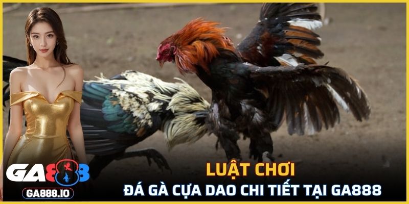 Khám phá luật chơi đá gà chi tiết tại GA888