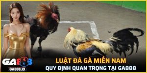 Luật Đá Gà Miền Nam