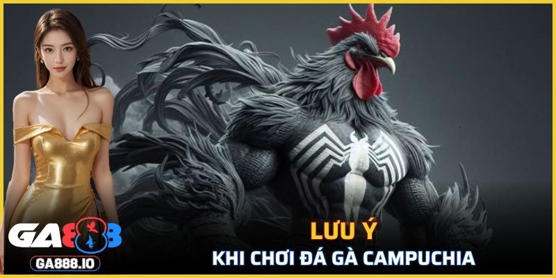 Lưu ý khi chơi đá gà Campuchia