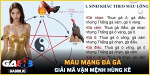 Màu Mạng Đá Gà