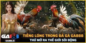 Tiếng Lóng Trong Đá Gà